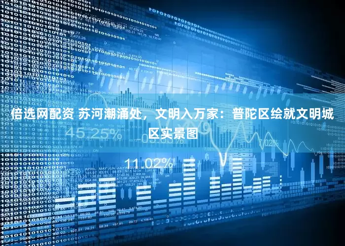 倍选网配资 苏河潮涌处，文明入万家：普陀区绘就文明城区实景图